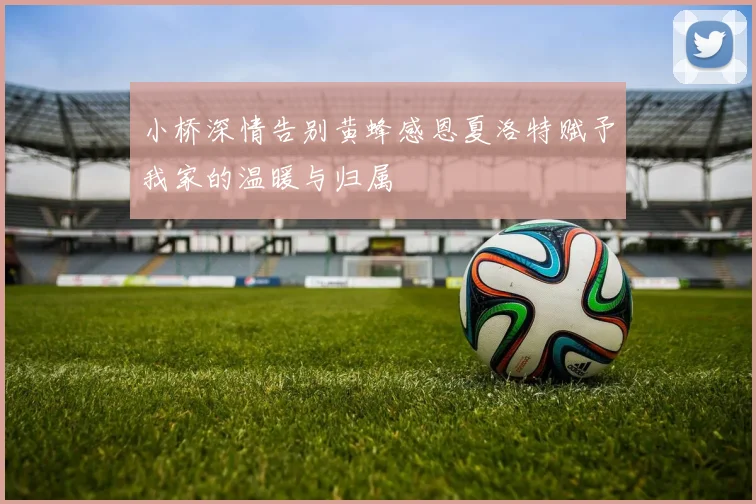 小桥深情告别黄蜂感恩夏洛特赋予我家的温暖与归属