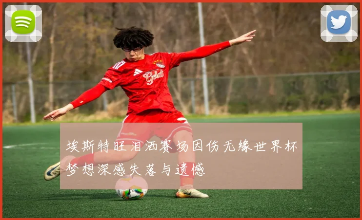 埃斯特旺泪洒赛场因伤无缘世界杯梦想深感失落与遗憾
