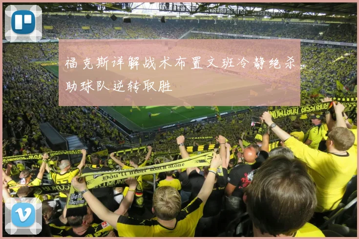 福克斯详解战术布置文班冷静绝杀助球队逆转取胜